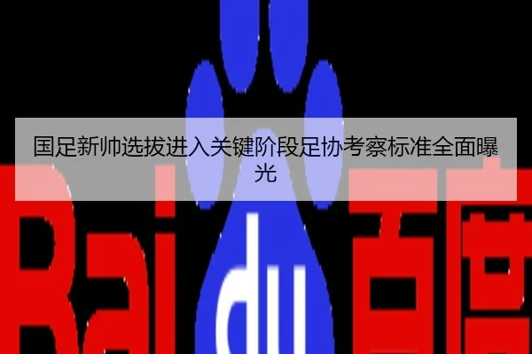 国足新帅选拔进入关键阶段足协考察标准全面曝光
