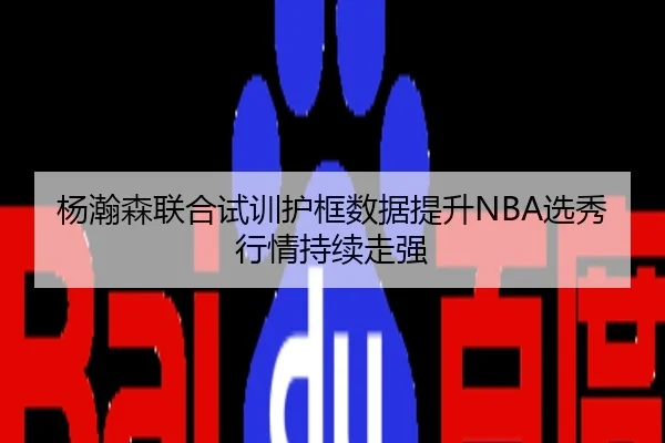杨瀚森联合试训护框数据提升NBA选秀行情持续走强
